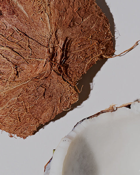 Coconut