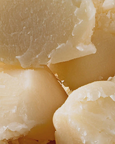 Shea Butter