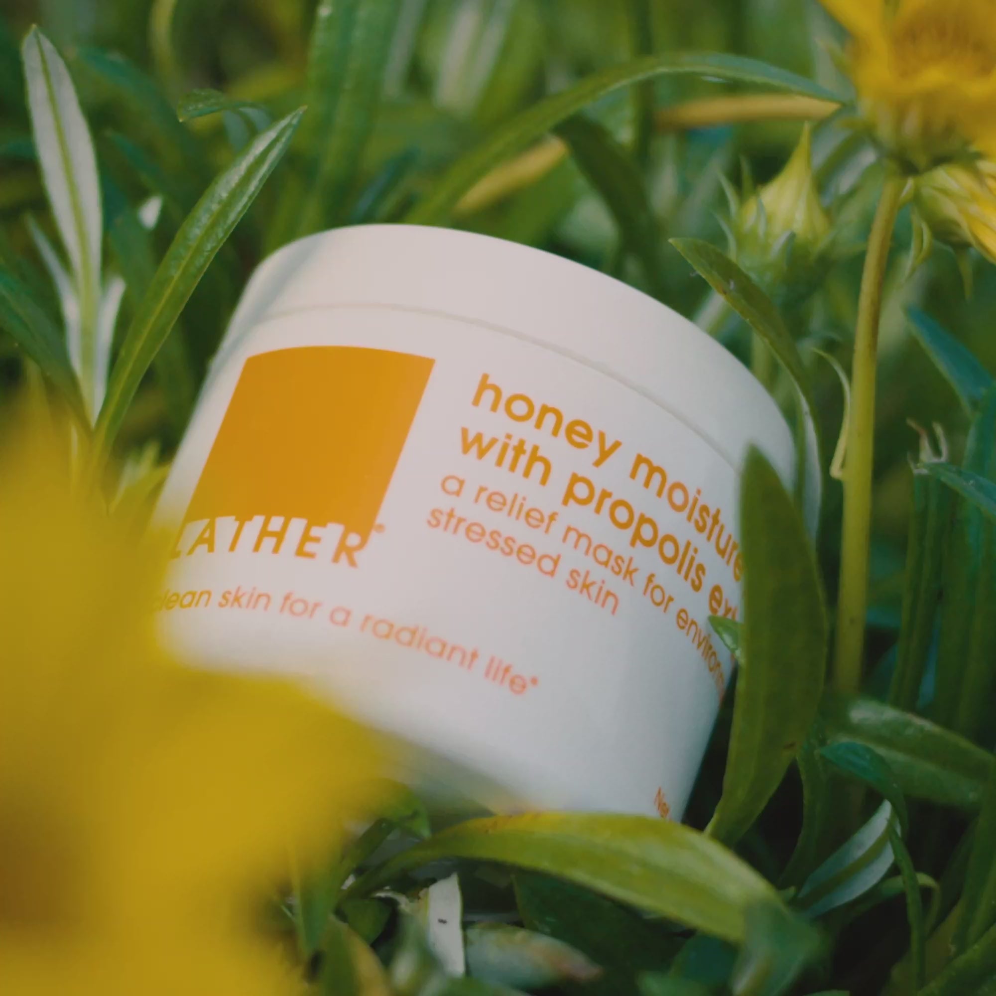 727c3c3151a34c3c906619344bd3b2