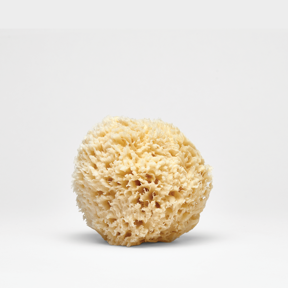 Lather Natural Sea Wool Sponge