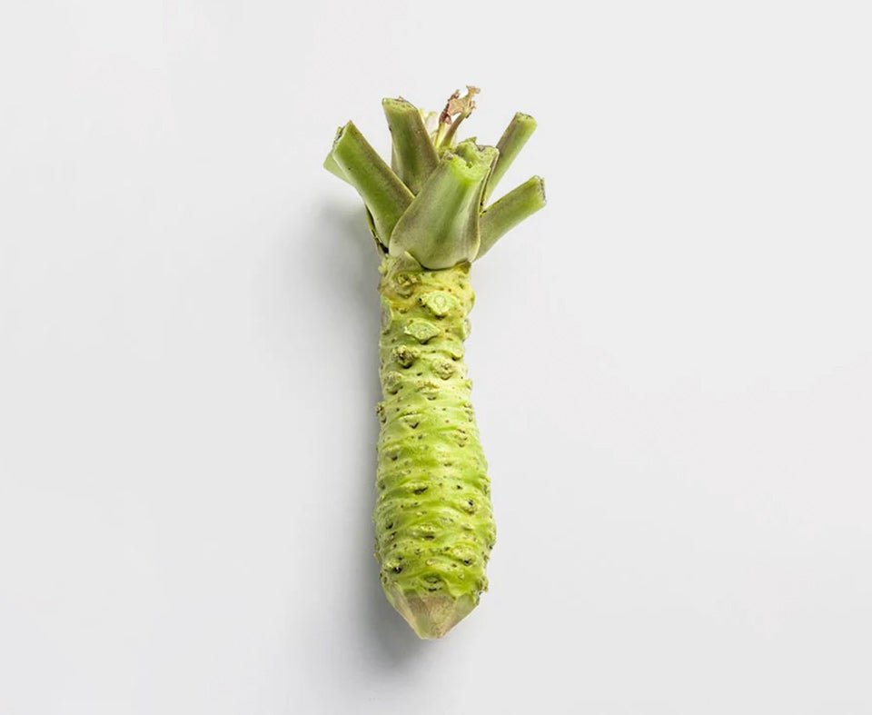 Wasabi Filter Wasabi Collection – LATHER