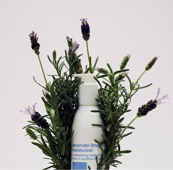 A white pump bottle of lavender lime moisturizer nestled in fresh green rosemary and lavender sprigs against a plain light gray background.