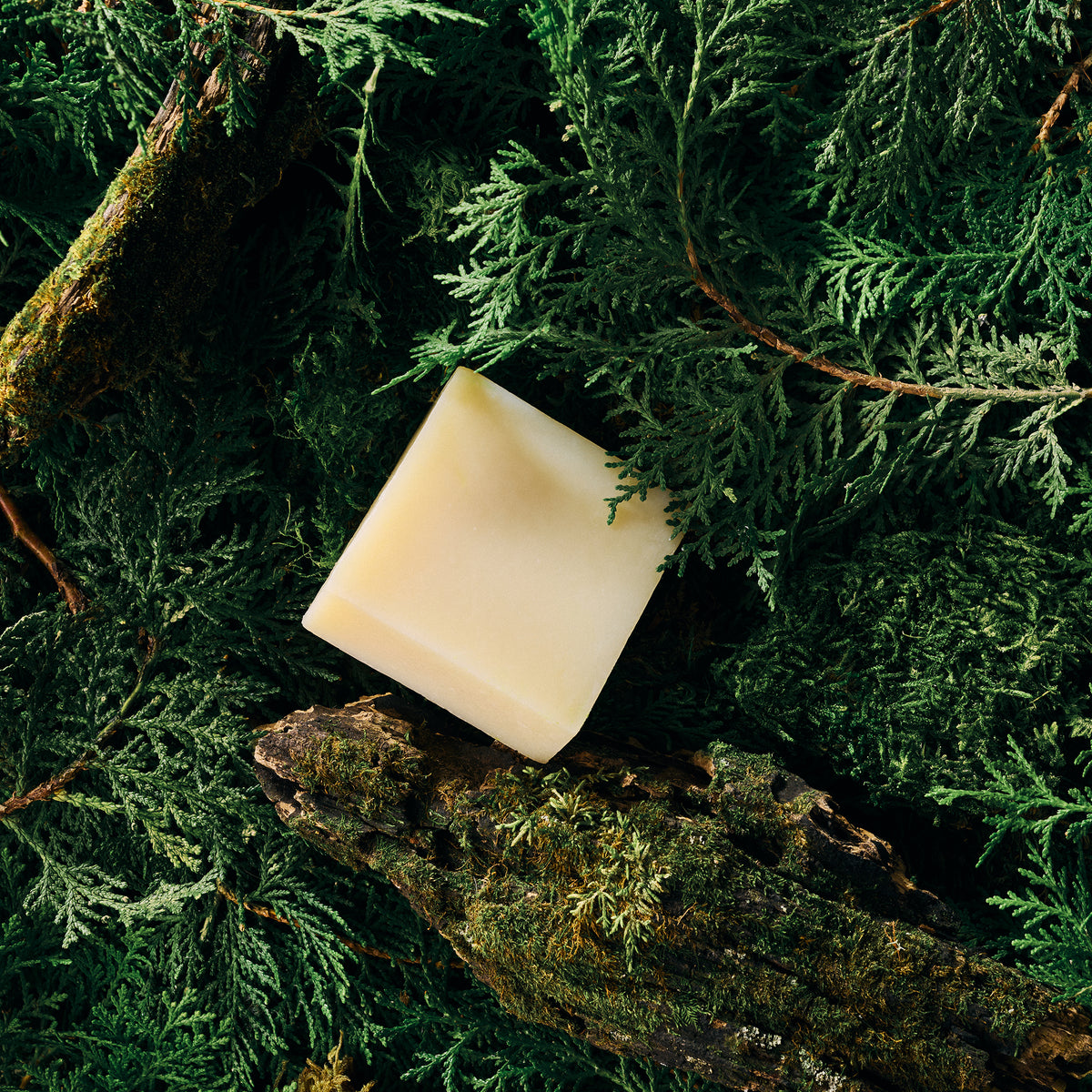 Hinoki Cypress &amp; Fir Soap