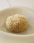 Natural Sea Wool Sponge