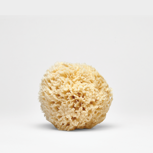 Natural Sea Wool Sponge