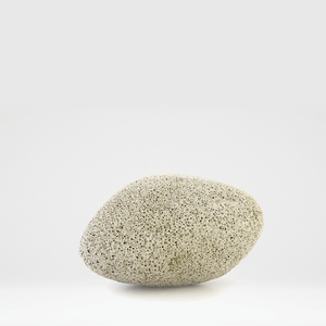 Pumice Stone